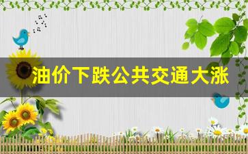 油价下跌公共交通大涨-油价调整对公众生活的影响