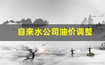 自来水公司油价调整-自来水价格调整方案