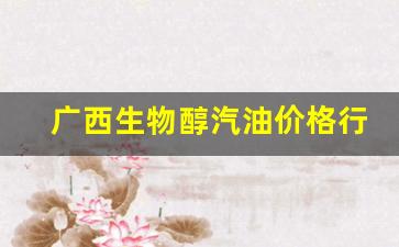 广西生物有机肥料有限公司-广西生物醇汽油价格行情